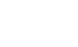 logo metaflux branca